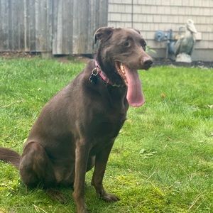 Meet your Posher, Sergio